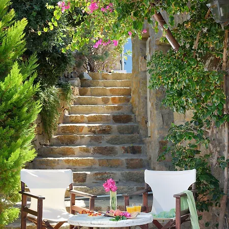 Mykonos Dream 4* Ftelia (Mykonos)