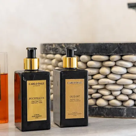 酒店 Mykonos Dream 4*