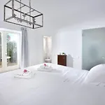 Mykonos Dream Hotel 4*