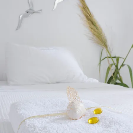 Отель Mykonos Dream Фтелия