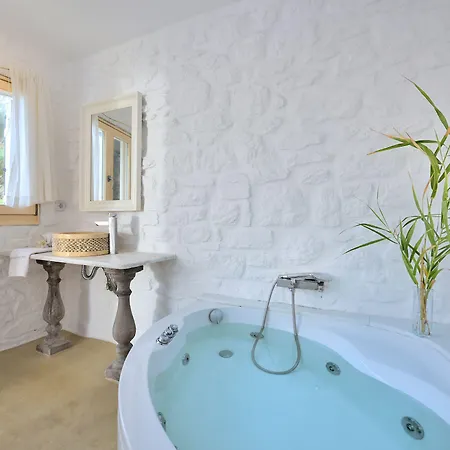 Mykonos Dream Hotel 4*