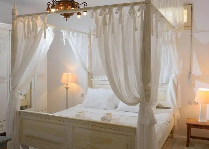 ホテル Mykonos Dream 4*