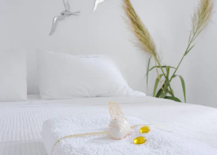 ホテル Mykonos Dream Ftelia (Mykonos)