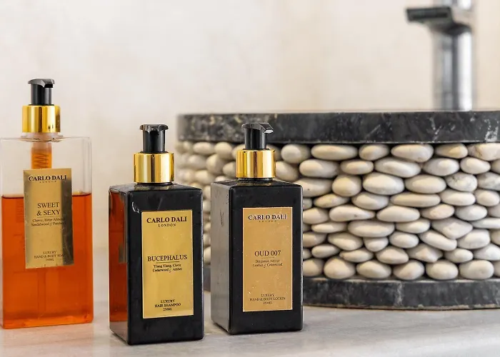 ホテル Mykonos Dream 4*