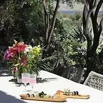 호텔 Mykonos Dream 프텔리아